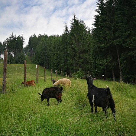 detsky-letni-a-lyzarsky-park-na-bile-v-beskydech